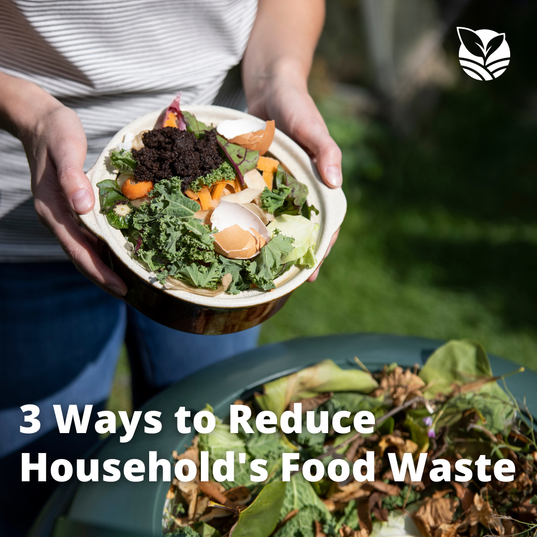 Ways To Reduce Households Food Waste Ezgreen